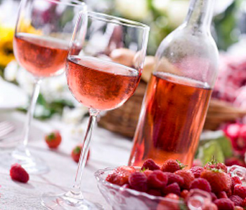 Padrón bebidas alcohólicas fermentadas(vinos)